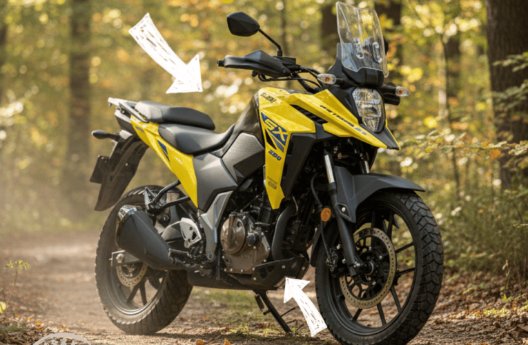 2025 SUZUKI V-STROM 250 / 小油鳥 ⭐驚喜0利率